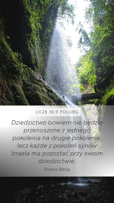Liczb 36:9 POLUBG Bible Verse Image