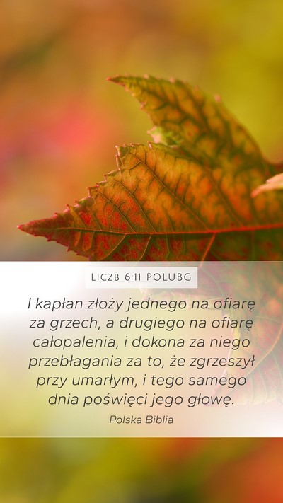 Liczb 6:11 POLUBG Mobile Phone Wallpaper - I kapłan złoży jednego na ofiarę za grzech, a - Mobile Bible Verse Wallpaper