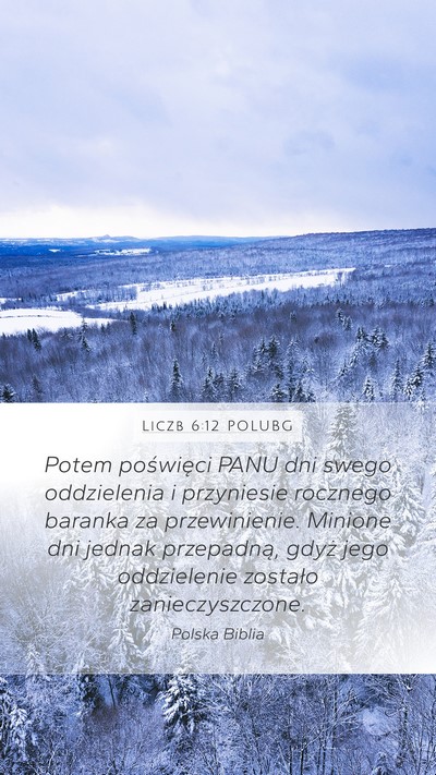 Liczb 6:12 POLUBG Bible Verse Image