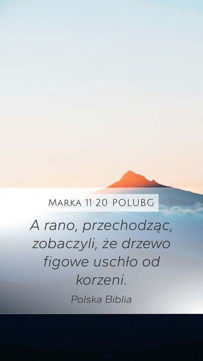 Marka 11:20 POLUBG Bible Verse Image