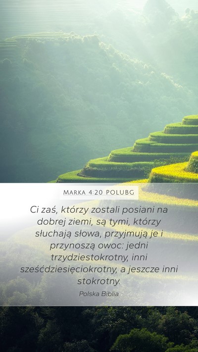 Marka 4:20 POLUBG Mobile Phone Wallpaper - Ci zaś, którzy zostali posiani na dobrej ziemi, - Mobile Bible Verse Wallpaper