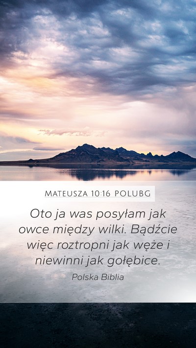 Mateusza 10:16 POLUBG Bible Verse Image