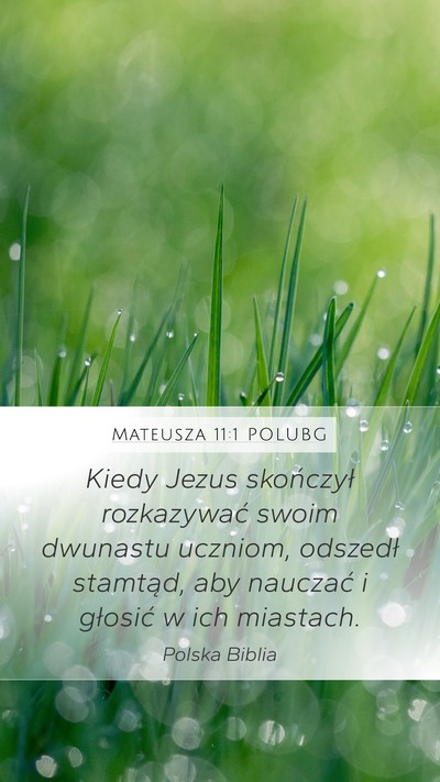 Mateusza 11:1 POLUBG Mobile Phone Wallpaper - Kiedy Jezus skończył rozkazywać swoim dwunastu - Mobile Bible Verse Wallpaper