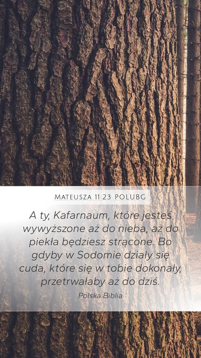 Mateusza 11:23 POLUBG Bible Verse Image