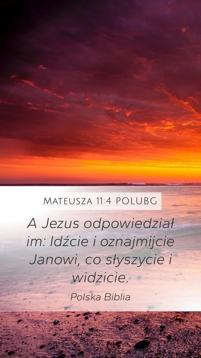 Mateusza 11:4 POLUBG Bible Verse Image