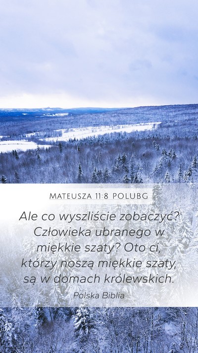Mateusza 11:8 POLUBG Bible Verse Image
