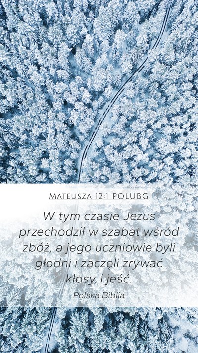 Mateusza 12:1 POLUBG Bible Verse Image