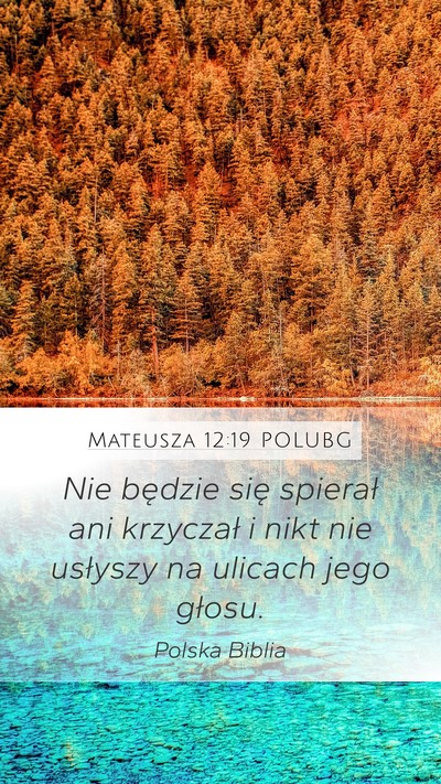 Mateusza 12:19 POLUBG Bible Verse Image