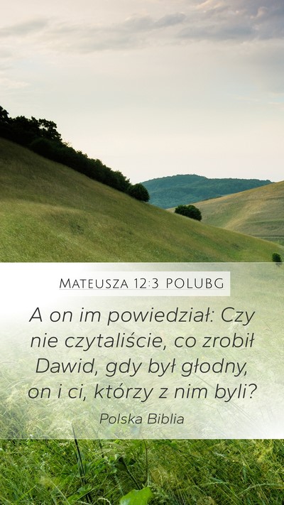 Mateusza 12:3 POLUBG Bible Verse Image
