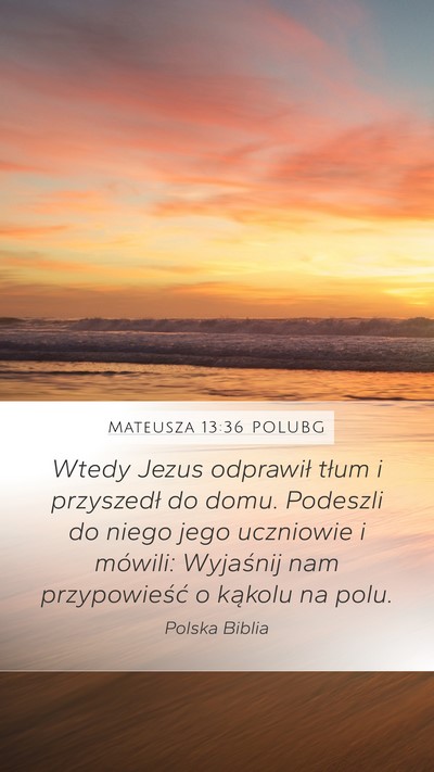 Mateusza 13:36 POLUBG Bible Verse Image