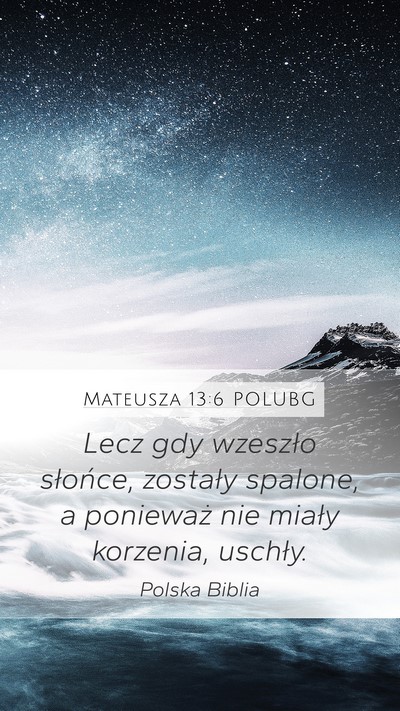 Mateusza 13:6 POLUBG Bible Verse Image