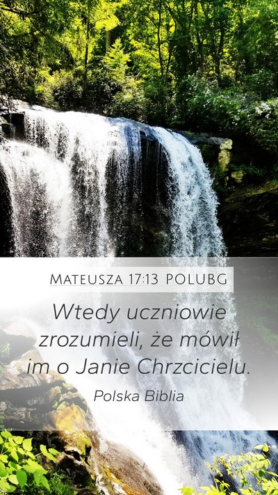 Mateusza 17:13 POLUBG Mobile Phone Wallpaper - Wtedy uczniowie zrozumieli, że mówił im o - Mobile Bible Verse Wallpaper