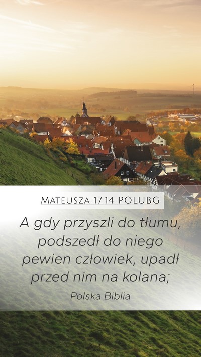 Mateusza 17:14 POLUBG Bible Verse Image