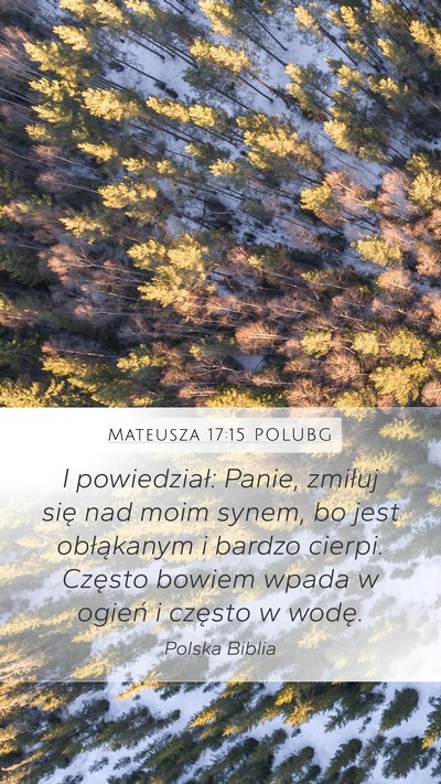 Mateusza 17:15 POLUBG Bible Verse Image