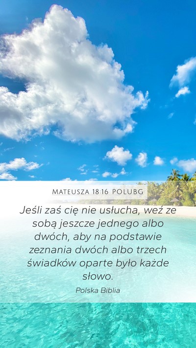 Mateusza 18:16 POLUBG Bible Verse Image