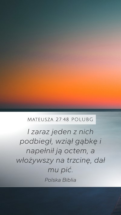 Mateusza 27:48 POLUBG Mobile Phone Wallpaper - I zaraz jeden z nich podbiegł, wziął gąbkę i - Mobile Bible Verse Wallpaper