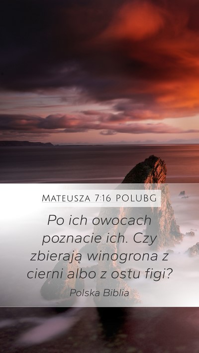 Mateusza 7:16 POLUBG Bible Verse Image