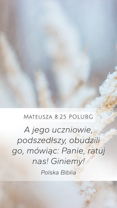 Mateusza 8:25 POLUBG Bible Verse Image