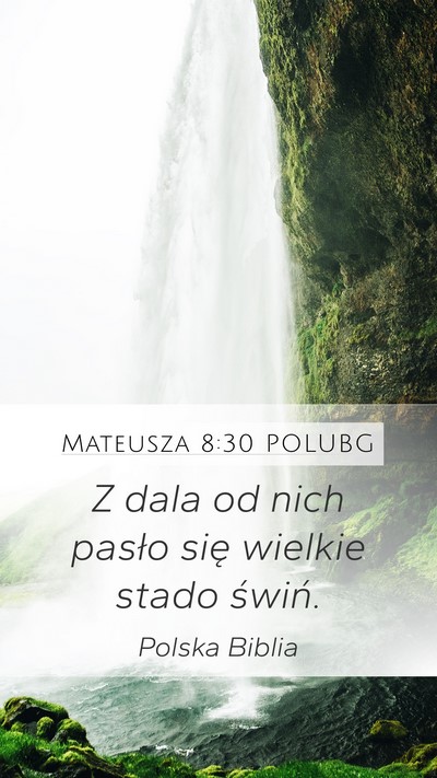 Mateusza 8:30 POLUBG Bible Verse Image