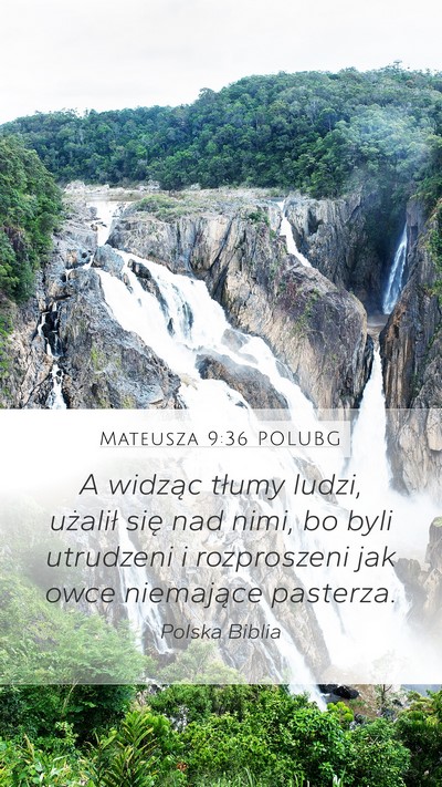 Mateusza 9:36 POLUBG Bible Verse Image