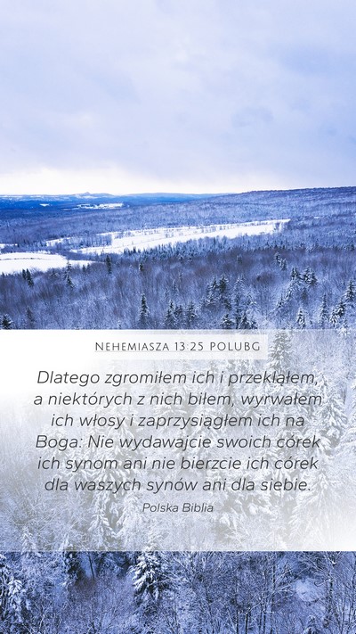 Nehemiasza 13:25 POLUBG Bible Verse Image