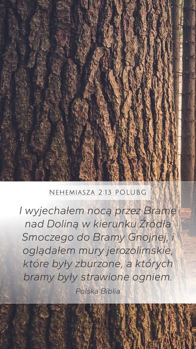 Nehemiasza 2:13 POLUBG Bible Verse Image