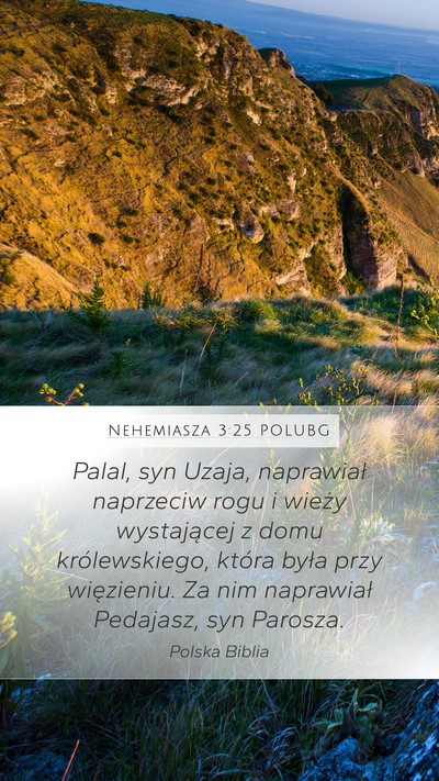 Nehemiasza 3:25 POLUBG Bible Verse Image