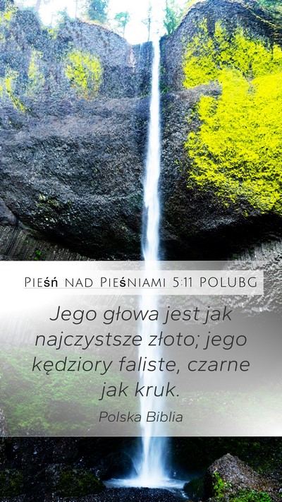 Pieśń nad Pieśniami 5:11 POLUBG Mobile Phone Wallpaper - Jego głowa jest jak najczystsze złoto; jego - Mobile Bible Verse Wallpaper
