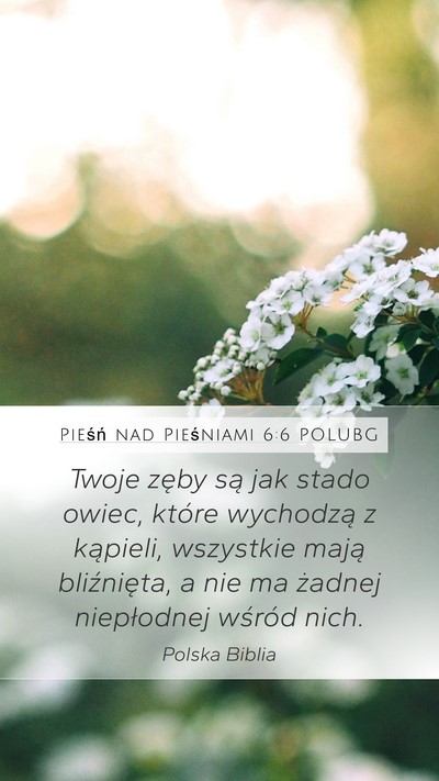 Pieśń nad Pieśniami 6:6 POLUBG Bible Verse Image
