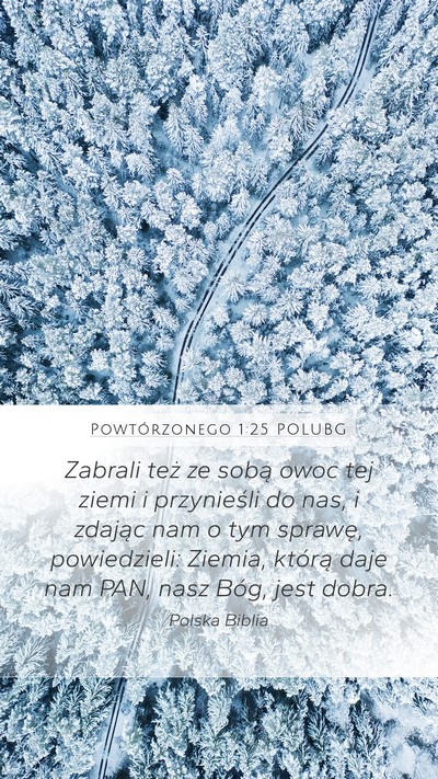 Powtórzonego 1:25 POLUBG Bible Verse Image