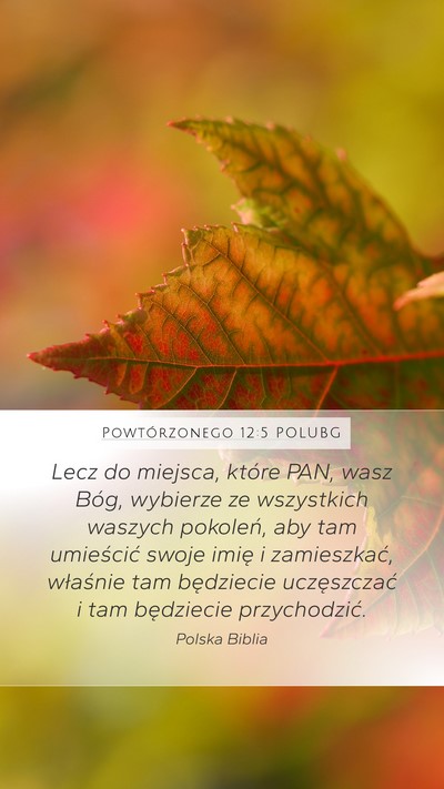 Powtórzonego 12:5 POLUBG Bible Verse Image