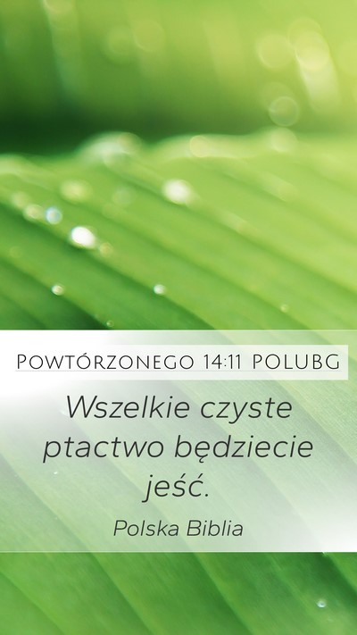 Powtórzonego 14:11 POLUBG Mobile Phone Wallpaper - Wszelkie czyste ptactwo będziecie - Mobile Bible Verse Wallpaper