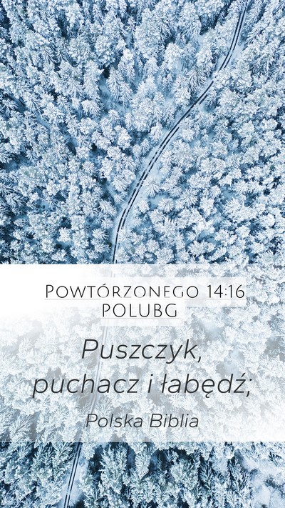 Powtórzonego 14:16 POLUBG Mobile Phone Wallpaper - Puszczyk, puchacz i - Mobile Bible Verse Wallpaper
