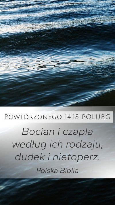 Powtórzonego 14:18 POLUBG Mobile Phone Wallpaper - Bocian i czapla według ich rodzaju, dudek i - Mobile Bible Verse Wallpaper