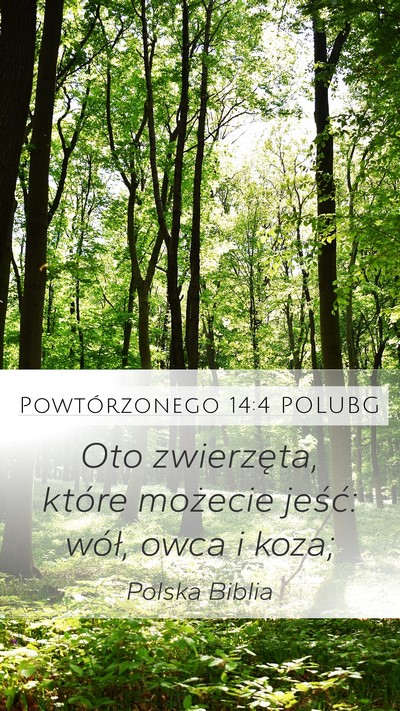 Powtórzonego 14:4 POLUBG Mobile Phone Wallpaper - Oto zwierzęta, które możecie jeść: wół, - Mobile Bible Verse Wallpaper