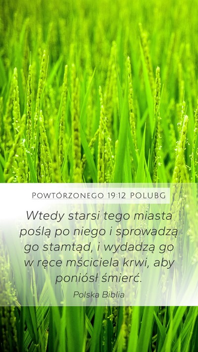 Powtórzonego 19:12 POLUBG Bible Verse Image