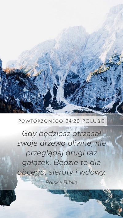 Powtórzonego 24:20 POLUBG Mobile Phone Wallpaper - Gdy będziesz otrząsał swoje drzewo oliwne, nie - Mobile Bible Verse Wallpaper