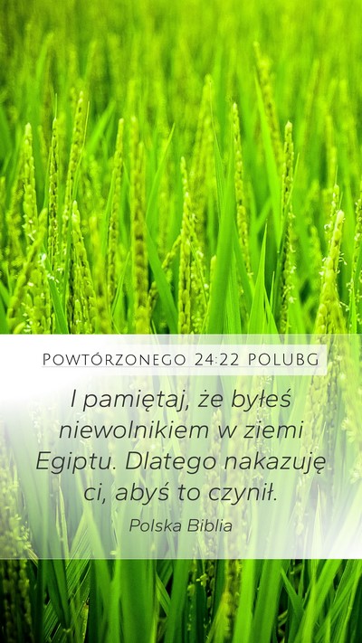 Powtórzonego 24:22 POLUBG Bible Verse Image