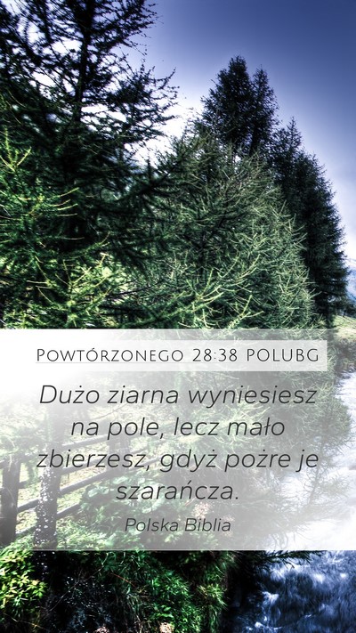 Powtórzonego 28:38 POLUBG Bible Verse Image