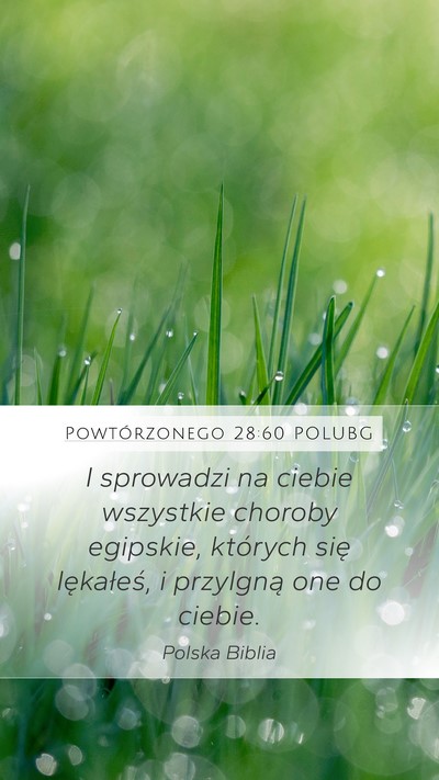 Powtórzonego 28:60 POLUBG Bible Verse Image