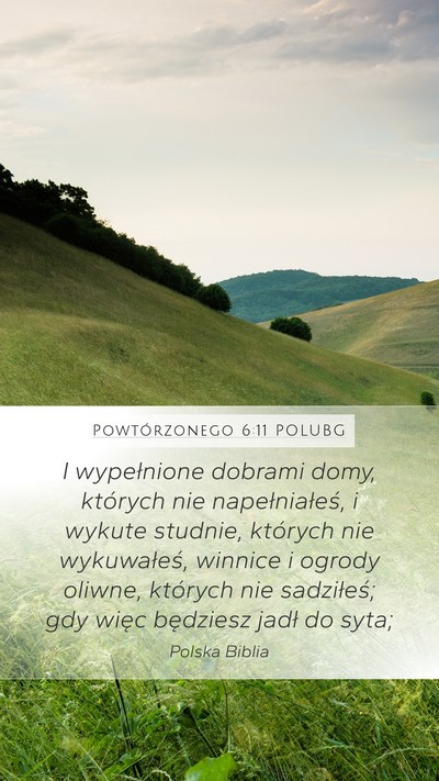 Powtórzonego 6:11 POLUBG Bible Verse Image