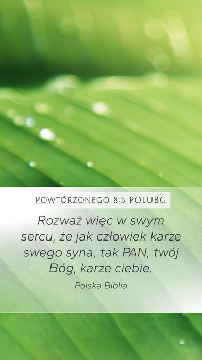 Powtórzonego 8:5 POLUBG Bible Verse Image