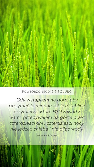 Powtórzonego 9:9 POLUBG Bible Verse Image