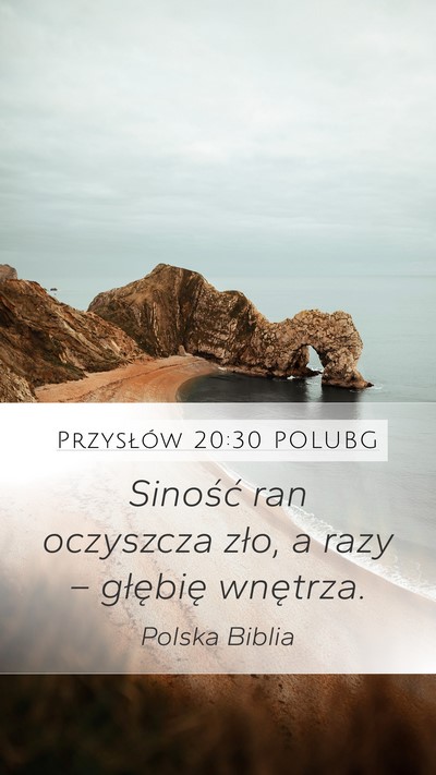 Przysłów 20:30 POLUBG Bible Verse Image