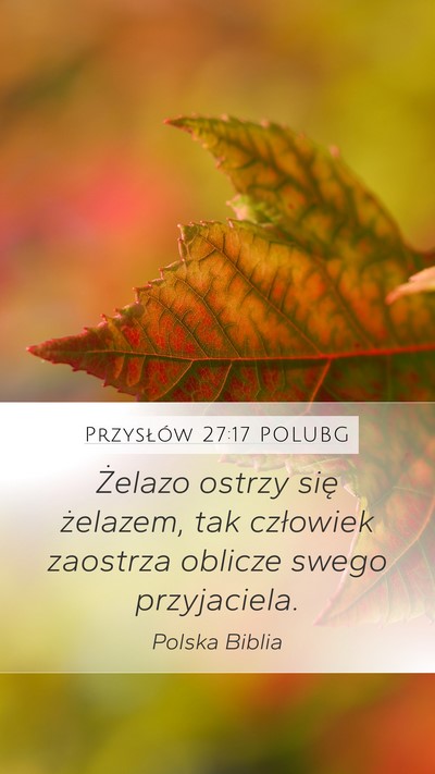 Przysłów 27:17 POLUBG Bible Verse Image