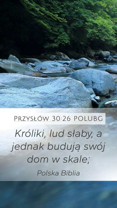 Przysłów 30:26 POLUBG Mobile Phone Wallpaper - Króliki, lud słaby, a jednak budują swój dom - Mobile Bible Verse Wallpaper