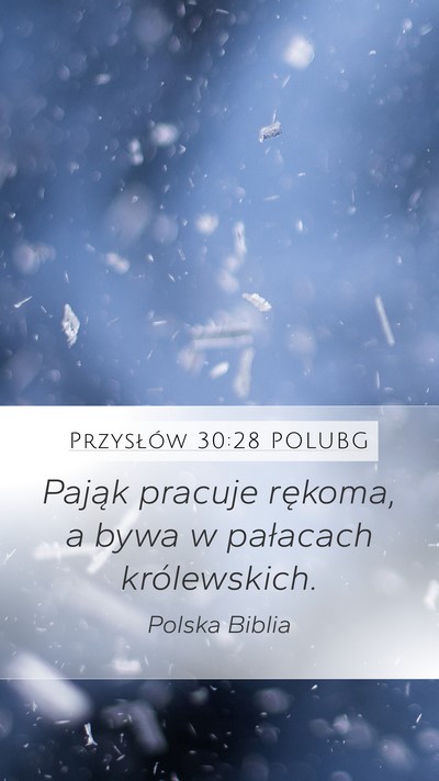 Przysłów 30:28 POLUBG Mobile Phone Wallpaper - Pająk pracuje rękoma, a bywa w pałacach - Mobile Bible Verse Wallpaper