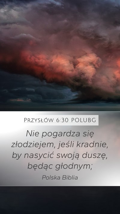 Przysłów 6:30 POLUBG Bible Verse Image