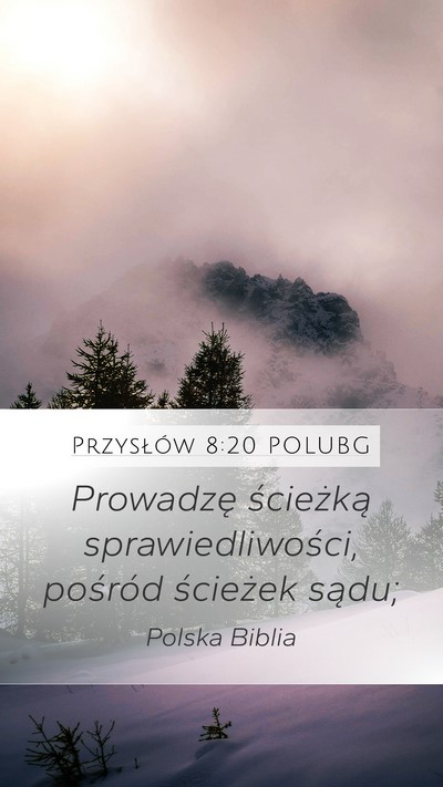 Przysłów 8:20 POLUBG Bible Verse Image