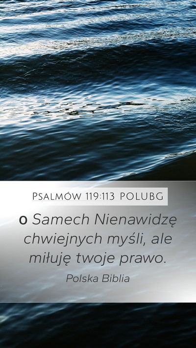 Psalmów 119:113 POLUBG Bible Verse Image